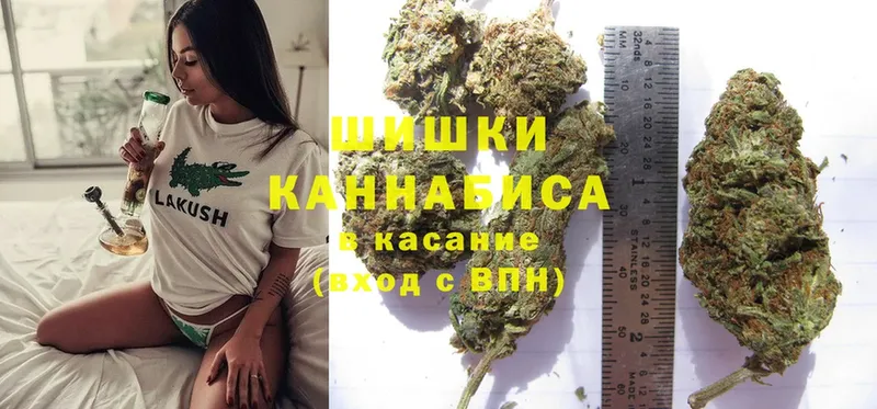 Конопля Bruce Banner  shop клад  Ноябрьск 